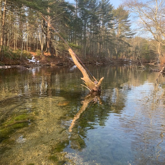 Meet your Posher, Bill - Picture 1 of 1